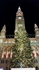 24-Vienna,22 dicembre 2014
